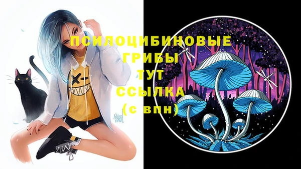 винт Белокуриха